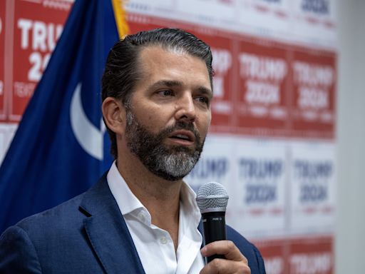 Donald Trump Jr. rages over "insane" white supremacist term