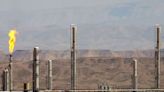 UAE's Dana Gas halts operations at gas field in Kurdistan Region of Iraq after drone strike