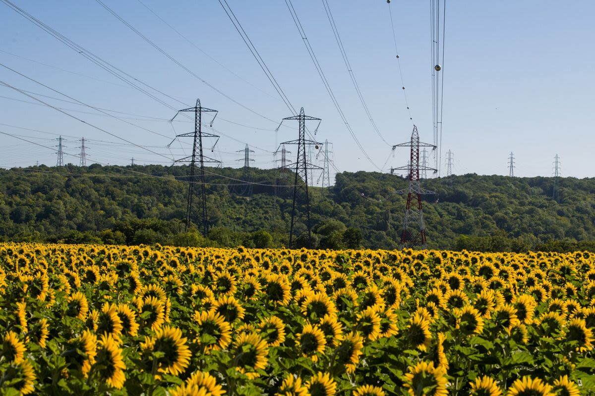 French Power Languishes at Record Discount to German Price