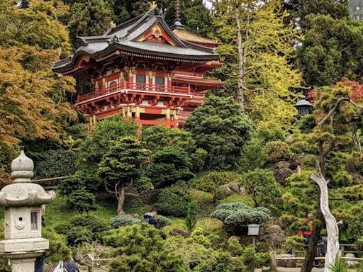 How to make your Golden Gate Park visit more exciting - The Aggie