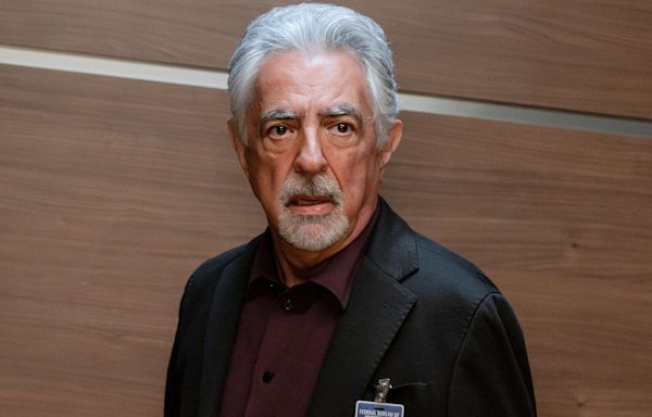 'Criminal Minds' vet Joe Mantegna responds to his DILF status