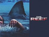 The Reef – Schwimm um dein Leben