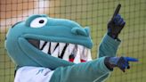 Ogden Raptors batter Billings in 16-5 blowout Friday