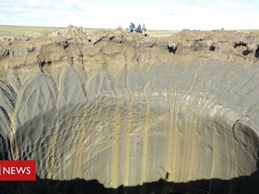 Mudanças climáticas: as surpreendentes fontes de gases do efeito estufa