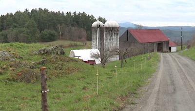 Last dairy farm in Hartford sells off its herd