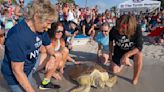 Diana Nyad marks anniversary of epic Cuba-Florida swim, freeing rehabilitated sea turtle in the Keys