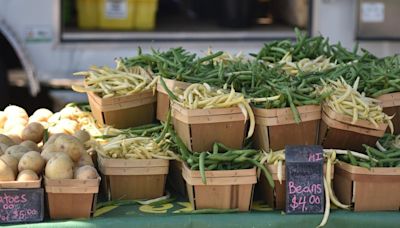 Photos and video of the Freight House Farmers Market, which was held Saturday, July 6, 2024, at the Scott County Administrative Center in Davenport