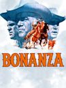 Bonanza