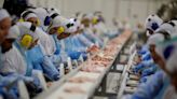 Newcastle: suspensão preventiva de exportação de frango diminui para 42 mercados Por Estadão Conteúdo