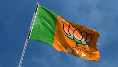 Haryana Polls: BJP Expels 8 'Rebels' For Contesting Against Party Candidates