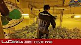 Desmanteladas dos plantaciones 'indoor' de marihuana en Albacete y decomisados 38 cogollos y 67 plantas