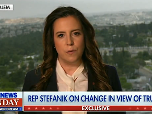 MAGA Republican Elise Stefanik loses it with Fox News host: ‘This is a disgrace!’