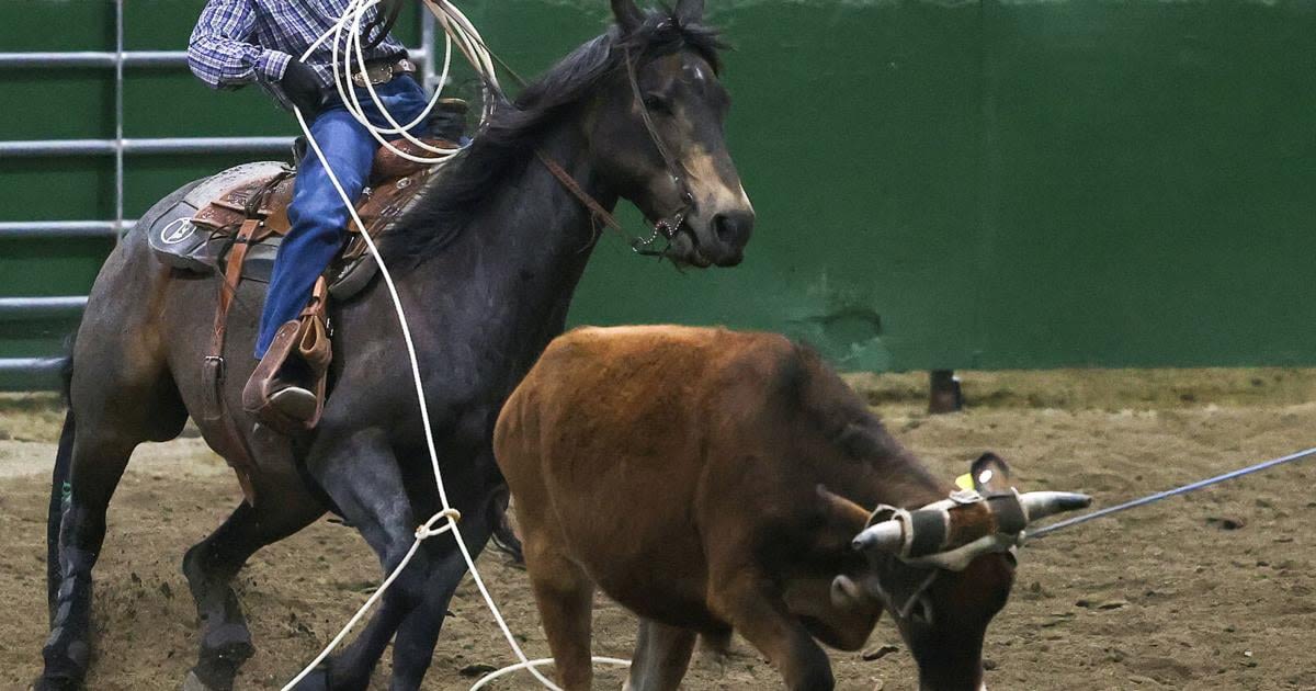 Mori, Lancaster win junior high team roping state championship