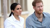 Harry and Meghan 'resented' by children over 'not growing up in Firm'