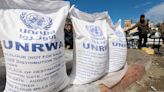ONU suspende entrada de alimentos en el sur de Gaza - El Diario NY