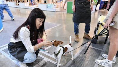 寵物商機大熱 食品廠搶攻