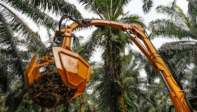 Farm robots help plug worker shortage in Malaysian palm oil