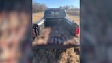 Off-duty game warden discovers dozens of deer parts dumped along road near Jones