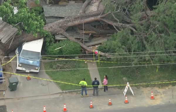 Huge tree falls over and crushes Monrovia home; no one injured