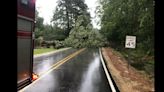 Trees down, thousands without power, after violent weather rakes parts of Baton Rouge region