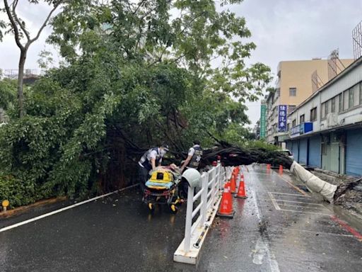 低壓帶影響下大雨 台南民眾半夜被雷聲嚇醒 高雄路樹倒塌砸人｜壹蘋新聞網