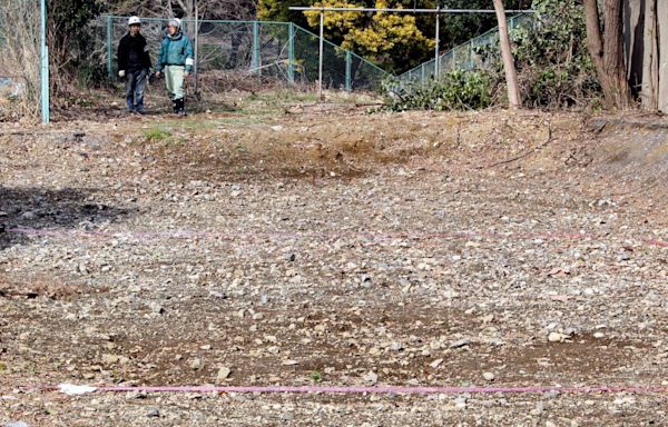 A mysterious pile of bones could hold evidence of Japanese war crimes, activists say