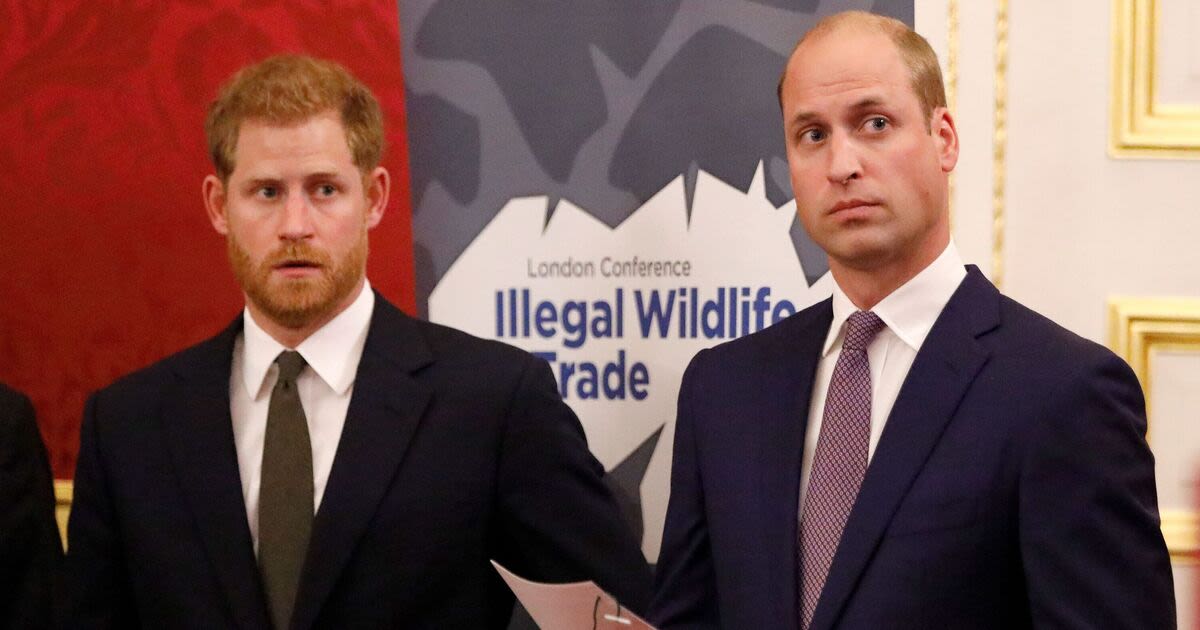 Prince William and Harry WON'T have an Oasis style reunion