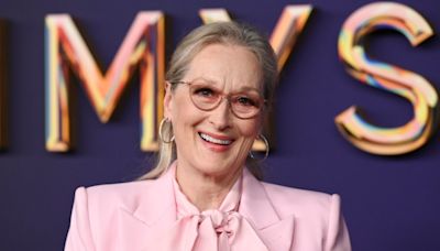 What Meryl Streep was compared to during an award presentation at the Emmys