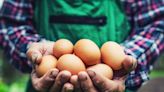 Food shortages: five ways to fix 'unfair' supply chains
