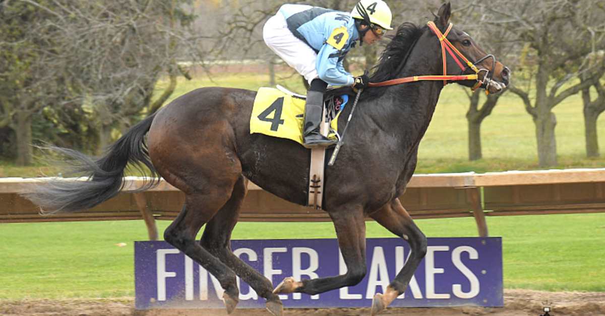 Jak N Burney Favored For Finger Lakes' First Stakes Of 2024