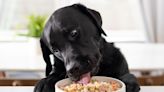 Dog Owners Are Raving About This Pre-Portioned Fresh Dog Food That They Say Beats Their ‘Highest Expectations’