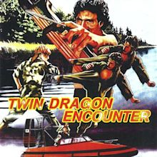 Twin Dragon Encounter (1986) - IMDb