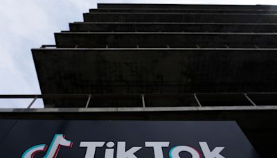 TikTok says bill to force its sale would ‘trample’ free speech