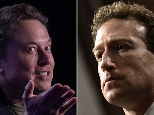 Looks like Elon Musk's belated 40th birthday present to Mark Zuckerberg is reviving that bizarre cage match bet