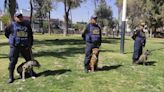 Presentan brigada canina para fortalecer patrullaje de serenos en el Cercado de Arequipa (VIDEO)