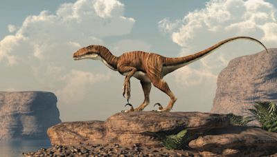 Científicos descubren huellas gigantescas de un velocirraptor