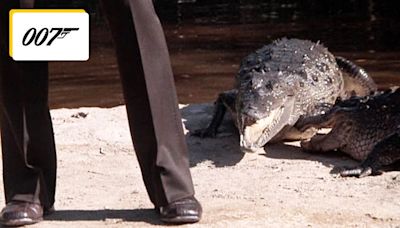 James Bond et les crocodiles : cette scène a été réalisée sans trucage et 5 prises ont été nécessaires