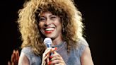 Tina Turner revive el peor drama de su vida por segunda vez