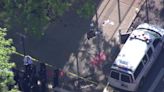 Two teenagers stabbed in Brooklyn: police