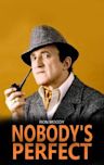 Nobody's Perfect (American TV series)