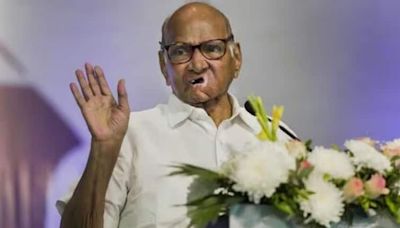 Sharad Pawar's NCP Says Prominent Leader To Join Party, Mahayuti To Fall Short Of 100 Seats