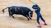 La Federación de Peñas Taurinas de la Comunitat Valenciana estudia acciones legales contra el ministro de cultura si se elimina el Premio Nacional de Tauromaquia