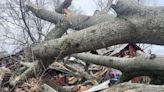 Damage reported as overnight storm crosses Arkansas
