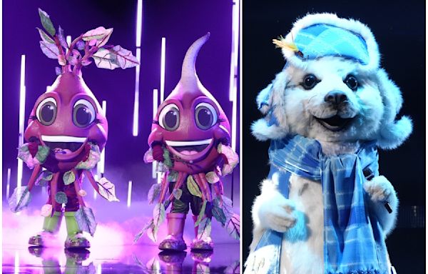 ‘The Masked Singer’ Reveals Identities of the Seal and Beets: Here Are the Celebrities Under the Costumes