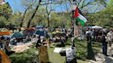 Michael Shellenberger says there's an 'anti-civilization element' in the anti-Israel campus protests