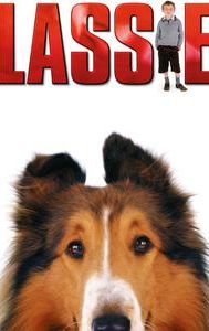 Lassie