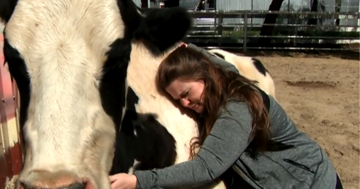 How a California rescue farm is helping animals and humans heal from trauma