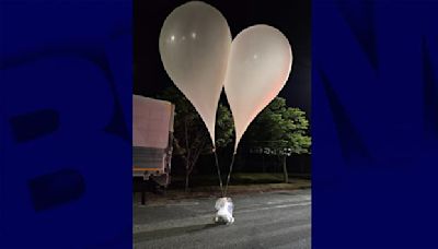 Fumier, piles électriques... La Corée du Nord envoie plus de 260 ballons chargés de déchets en Corée du Sud