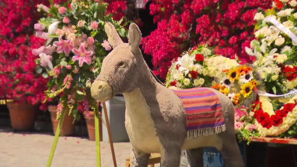 After 57 years, Olvera Street burro photo stand reaches deadline to vacate. What happens next?