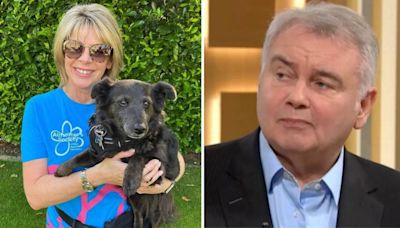 Ruth Langsford hits back at Eamonn Holmes amid dog custody battle